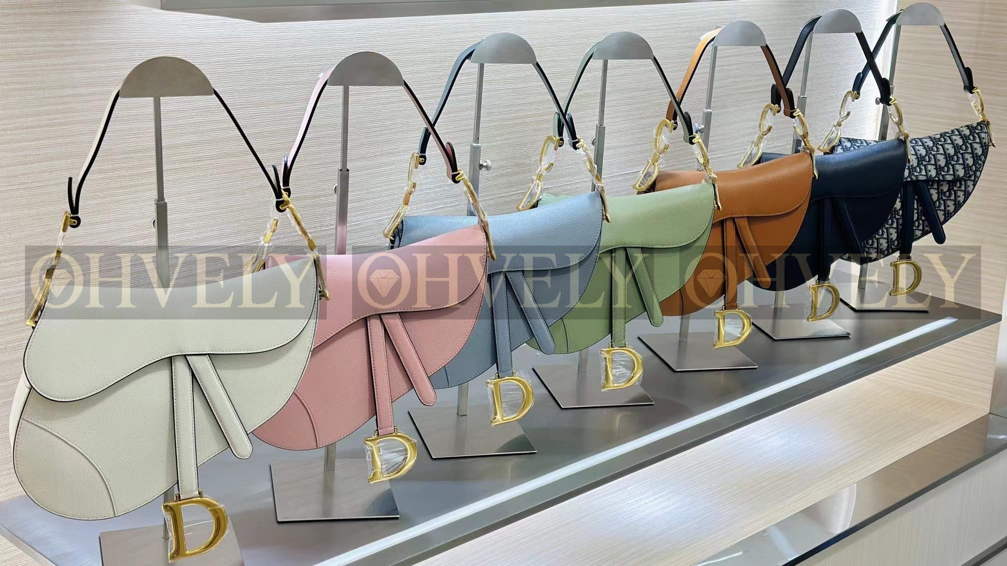 DIOR 새들 스트랩 백