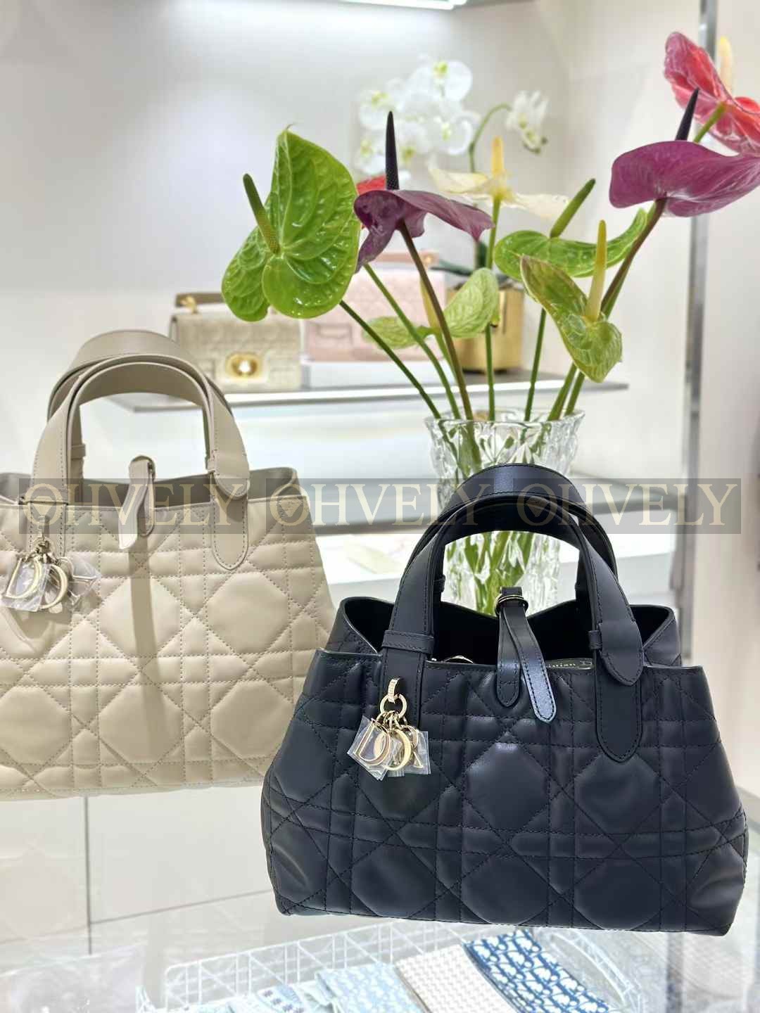 Dior Toujours 백